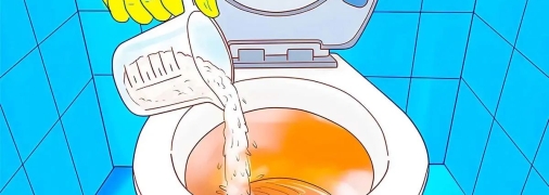 Хитрость, которая сделает ваш туалет безупречным