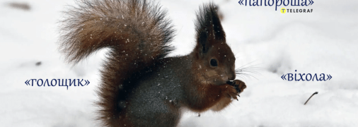 А вы знаете, что такое "папорошка", "голощик" или "совзеница" в украинском языке?