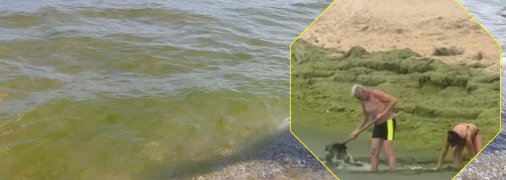 Море в Одессе