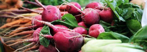 Овощ, который способный противостоять вирусам