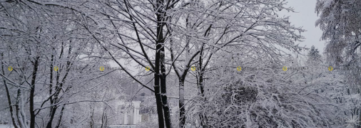 Львов засыпает снегом