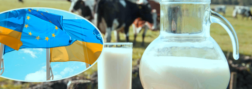 Молоковиробники скаржаться на брак якісної сировини