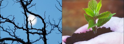 Есть два дня, когда ничего нельзя сажать и сеять в марте 2026