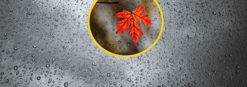 Прогноз погоды в Украине 15 октября