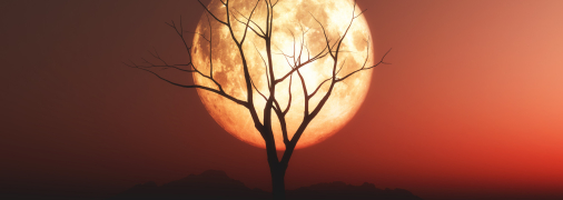 Серпень почнеться з повні