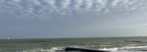 Черное море