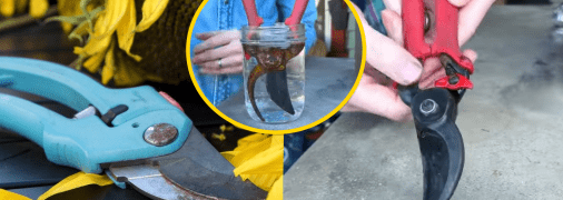 Благодаря этому совету можно сэкономить бюджет