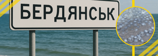 В окупованому Бердянську на березі моря багато медуз