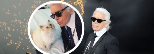 Карл Лагерфельд мав кішку, яку звати Шупетт