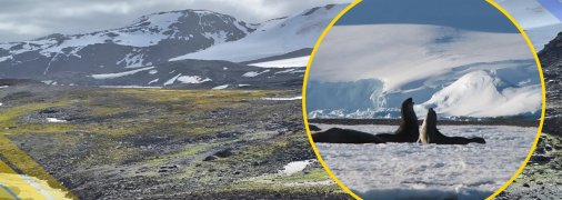 Ілюстративні фото