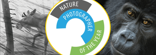 Ілюстративне фото