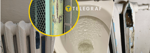 Последствия мороза