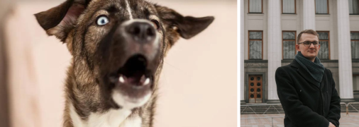 Брагар советовал пенсионерке продать собаку для оплаты коммуналки