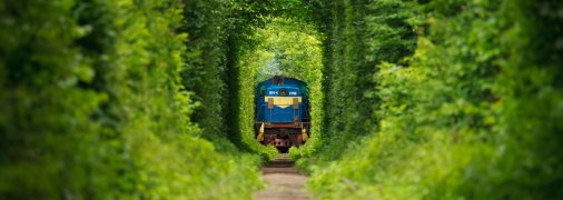 Журналист рассказал, чем особенный тоннель любви в Клевани