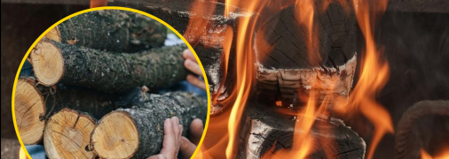 Опалення дровами є одним з найрозповсюдженіших видів обігріву