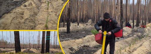 Иллюстративное изображение