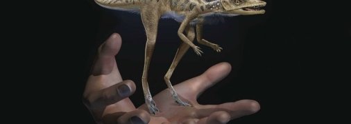 На Мадагаскаре найдены останки миниатюрного предка динозавров и птерозавров
