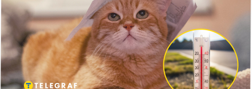 У першій декаді липня очікується мінлива температура, та буде й спека