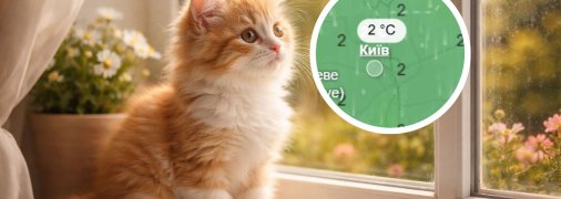 Погода в Киеве