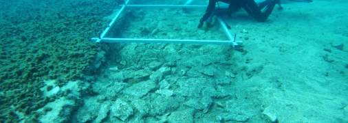 "Підводне шосе стародавнього світу": у Хорватії під водою виявлено дорогу, якій 7 тисяч років (відео)