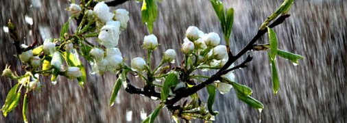 На Украину движутся грозы и жара +33: синоптики объяснили, куда качнет погодный "маятник"