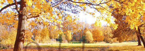 Открытки с 1 октября