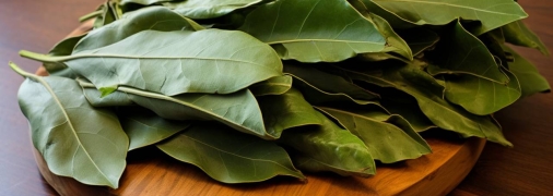 Це не лише спеція, а й потужний засіб