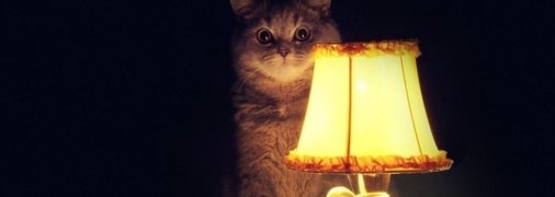 Ілюстративне зображення