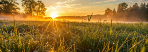 День літнього сонцестояння 21 червня 2025 року