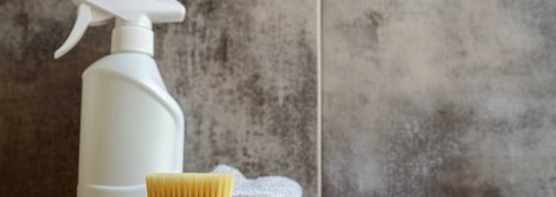 Плесень можно вывести несколькими способами (изображение создано с помощью ИИ)