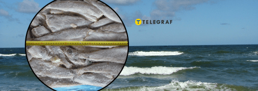 Рыба Путаса