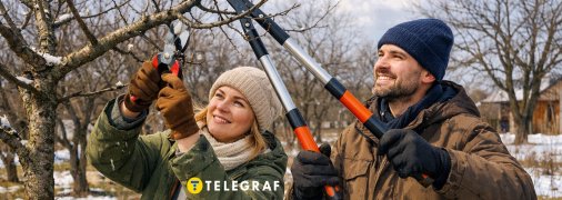 Весенняя обрежка - важный этап ухода за садом