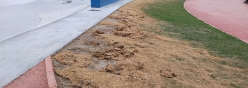 На ВДНХ высох газон