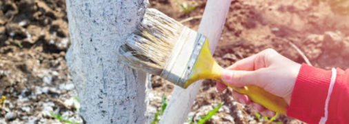 Весняний захист саду