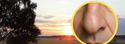 Село Ноздрище