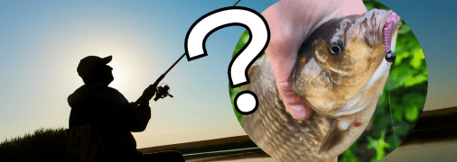 Рыба сама будет прыгать на крючок