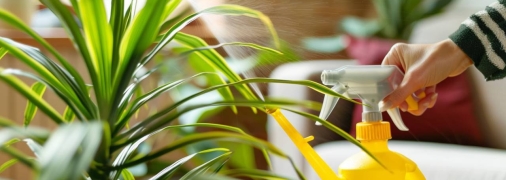 Комнатные растения нуждаются в правильном уходе (изображение создано с помощью ИИ)