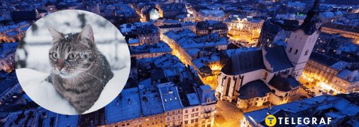 У Харків йдуть найсильніші морози січня: до чого готуватися і коли