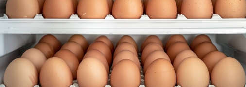 Место хранения может повлиять на длительность хранения яиц (изображение создано с помощью ИИ)