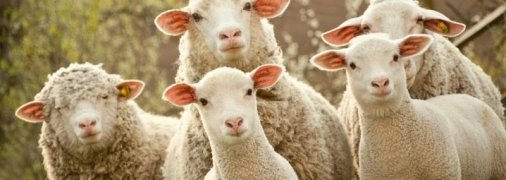 Ученые нашли простой способ продлить молодость у мужчин, но немногие решатся его испробовать