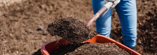 Восени у городників ще багато роботи