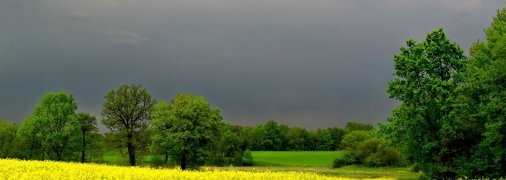 Нетипичное лето-2024 на фоне погодных рекордов: народный синоптик дал подробный прогноз