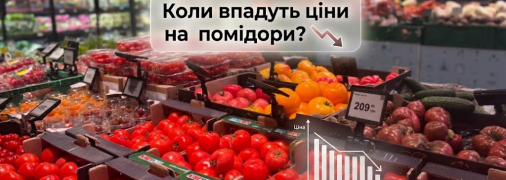 Цены на помидоры вернутся к прошлогоднему уровню