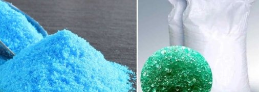 Їх легко розрізнити за кольором