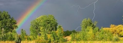 Спека, грози та дощі: в яких регіонах похолоднішає в найближчі дні