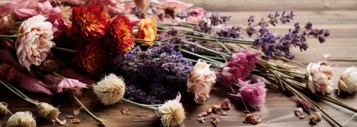 Засушені квіти вдома — це не завжди погано