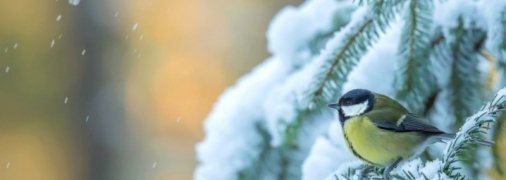 Легкие вещи еще подождут: синоптики дали прогноз погоды до конца недели