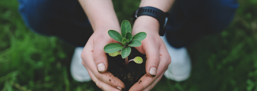 Как определить кислотность почвы без лабораторного анализа