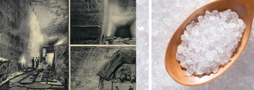 Біле золото Закарпаття