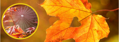 Погода в Украине